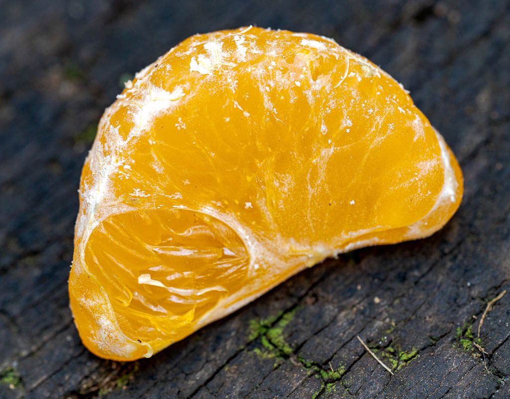 Makroaufnahme eines einzelnen Mandarinenstücks auf dunklem Holz, mit Fasern und Moosresten am Rand sichtbar.