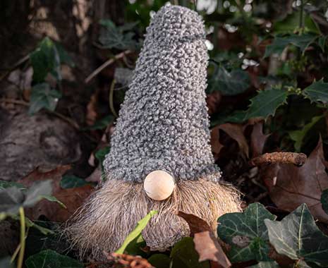 waldmännchentag 2023 sven giese featured