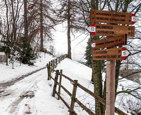 World Snow Day. Kuriose Feiertage - dritter Sonntag im Januar (c) 2020 Sven Giese