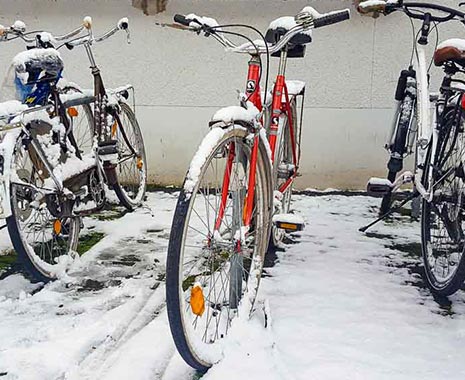 International Winter Bike to Work Day - Internationaler Winter-Fahrradpendlertag. Kuriose Feiertage - zweiter Freitag im Februar © 2020 Sven Giese