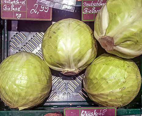National Cabbage Day . Tag des Weißkohls in den USA. Kuriose Feiertage - 17. Februar © 2020 Sven Giese