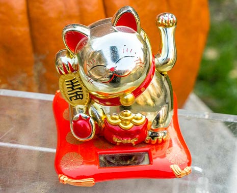 Neko no hi - Katzentag in Japan. Kuriose Feiertage - 22. Februar © 2020 Sven Giese