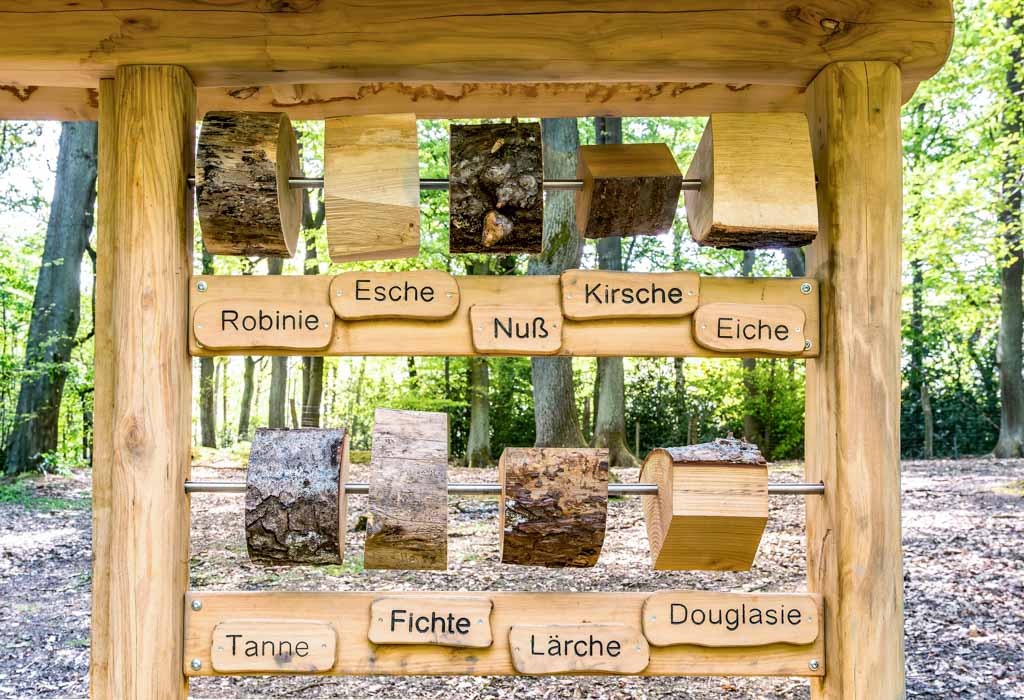 World Wood Day – der internationale Welttag des Holzes. Kuriose Feiertage - 21. März © 2024 Sven Giese Lernstation im Wald mit Holzproben verschiedener Baumarten wie Eiche, Kirsche und Fichte.