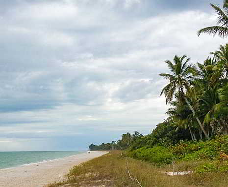UNO International Day of the Tropics - Internationaler Tag der Tropen. Kuriose Feiertage - 29.Juni © 2019 Sven Giese