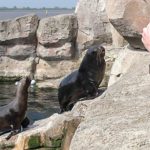 National Visit the Zoo Day - Mach-einen-Zoobesuch-Tag in den USA. Kuriose Feiertage - 27. Dezember © 2019 Sven Giese
