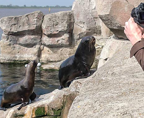 National Visit the Zoo Day - Mach-einen-Zoobesuch-Tag in den USA. Kuriose Feiertage - 27. Dezember © 2019 Sven Giese