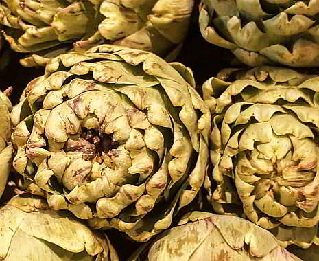 National Artichoke Hearts Day - Tag der Artischockenherzen in den USA. Kuriose Feiertage - 16. März (c) 2019 Sven Giese