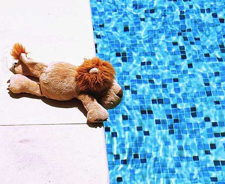 schwimm eine runde tag 2024 sven giese featured