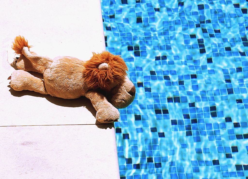 National Swim a Lap Day – der US-amerikanische Schwimm-eine-Runde-Tag. Kuriose Feiertage - 24. Juni © 2024 Sven Giese - Bild 1 Brauner Stofflöwe liegt entspannt am Rand eines blauen Mosaik-Swimmingpools.