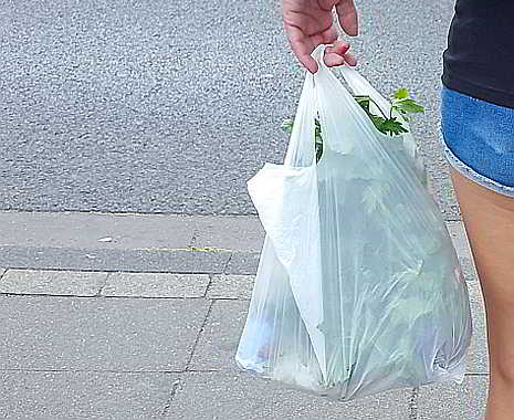 International Plastic Bag Free Day - Internationaler Plastiktütenfreier Tag. Kuriose Feiertage - 3. Juli © 2019 Sven Giese