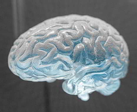 World Brain Day - Welttag des Gehirns. Kuriose Feiertage - 22. Juli © 2019 Sven Giese