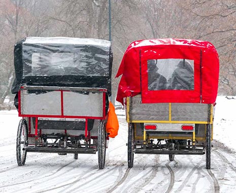 International Ride Sharing Day - internationaler Tag der Mitfahrgelegenheit. Kuriose Feiertage (c) 2019 Sven Giese