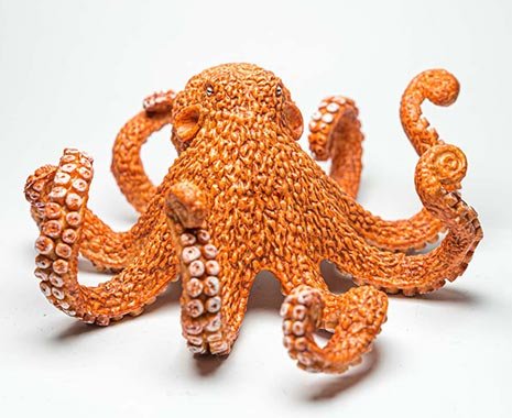World Octupus Day - Welttag der Kraken. Kuriose Feiertage - 8. Oktober © 2019 Sven Giese