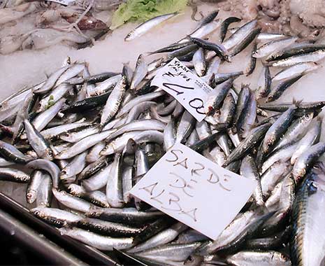 National Sardines Day - Tag der Sardinen in den USA. Kuriose Feiertage - 24. November © 2021 Sven Giese