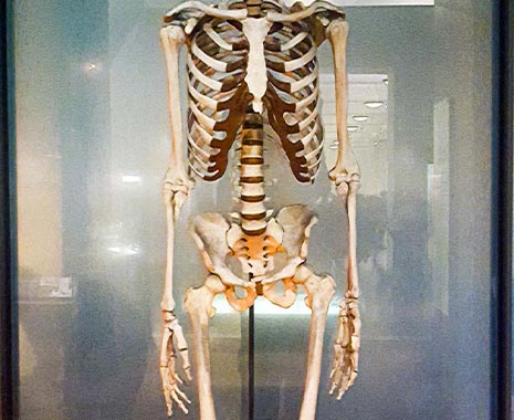 Tag der Rückengesundheit in Deutschland. Kuriose Feiertage - 15. März © 2020 Sven Giese