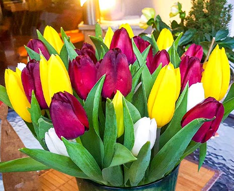 Muttertag in Deutschland. Kuriose Feiertage - zweiter Sonntag im Mai © 2020 Sven Giese