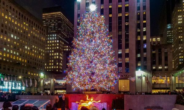 Weihnachtsbaum-Tag - National Christmas Tree Day USA - 8. Dezember