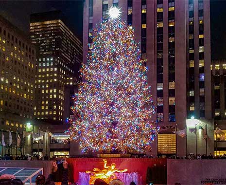 Weihnachtsbaum-Tag - National Christmas Tree Day in den USA. Kuriose Feiertage - 8. Dezember © 2020 Sven Giese