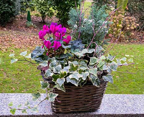 Verschenk-einen-Blumenkorb-Tag - Free Flower Basket Day in den USA. Kuriose Feiertage - 4. Januar © 2021 Dietmar Giese