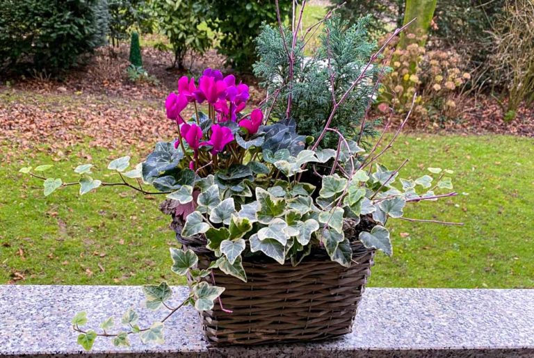 VerschenkeinenBlumenkorbTag Free Flower Basket Day in den USA