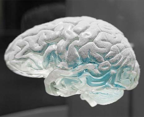 Welttag der Logik - World Logic Day. Kuriose Feiertage - 14. Januar © 2021 Sven Giese