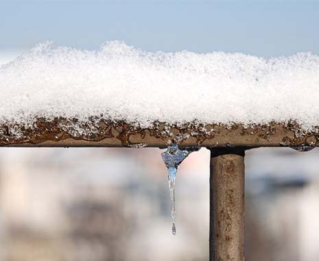 Eisheilige. Kuriose Feiertage - 11. Mai © 2021 Sven Giese