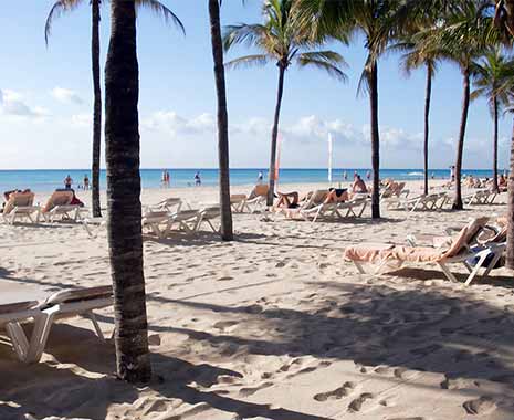 Menschen entspannen unter Palmen auf Liegestühlen an einem sonnigen Sandstrand.