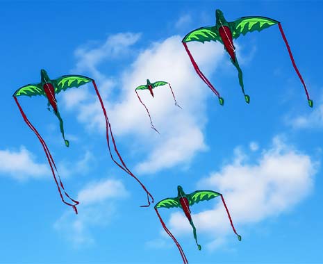 Uttarayan - International Kite Day - Tag des Drachensteigens in Indien. Kuriose Feiertage - 14. Januar © 2022 Sven Giese