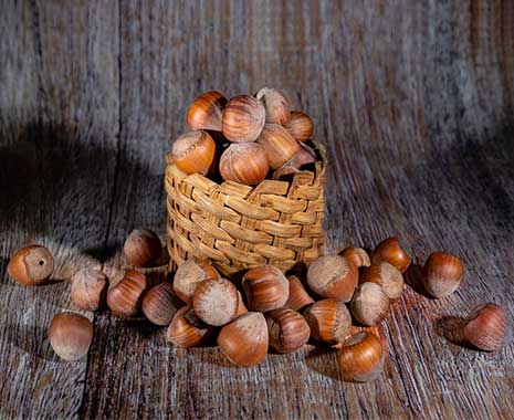 Nutting Day in Großbritannien. Kuriose Feiertage - 14. September © 2022 Sven Giese