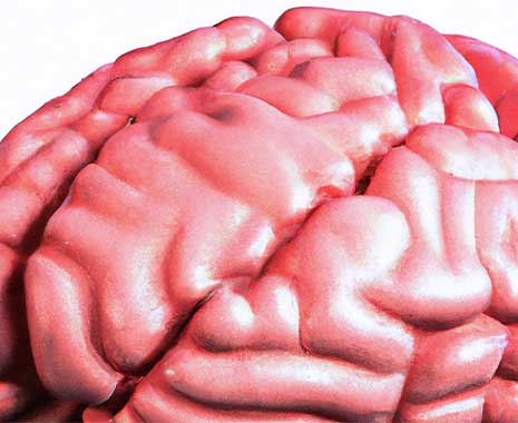 tag der gehirnerschütterung 2023 sven giese featured