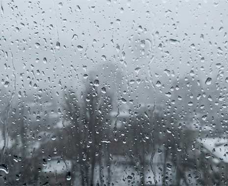 blue monday kuriose feiertage 2026 sven giese featured