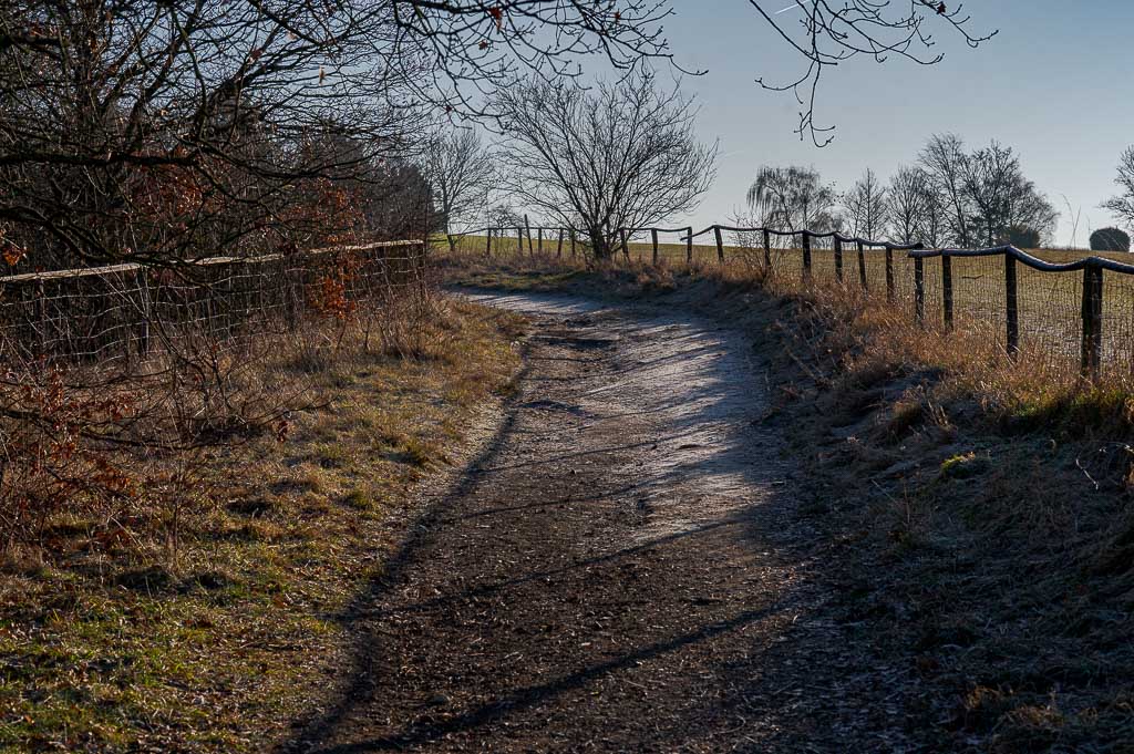 Unbefestigter Weg auf dem Bonner Rodderbeg führt zwischen Zäunen durch winterliche Wiesen und kahle Bäume im Morgenlicht.