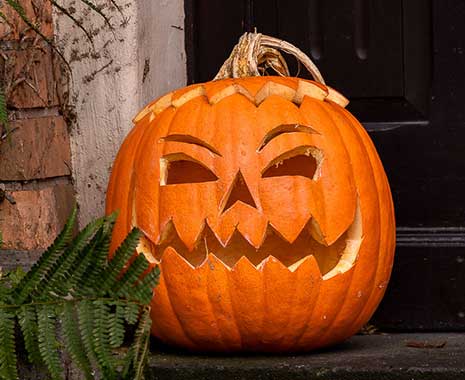 halloween kuriose feiertage 2026 sven giese featured