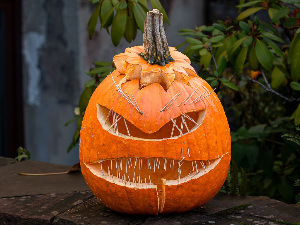 Halloween – Kuriose Feiertage – 31. Oktober © 2026 Sven Giese – Bild 6 Halloween-Kürbis mit spitzen Holzstäbchen als Zähnen und Augenbrauen steht vor grünen Sträuchern.